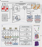 stDyer enables spatial domain clustering with dynamic graph embedding