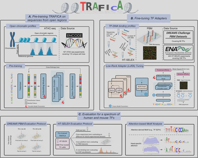 TRAFICA Framework